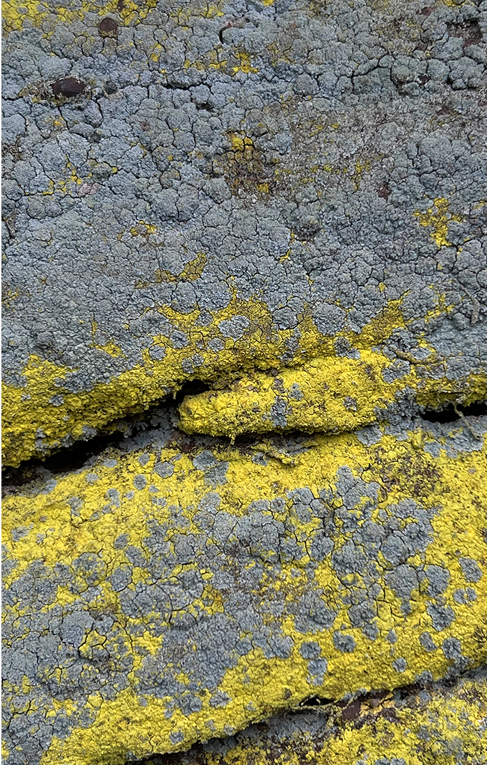 `St. Odilenberg´ - Digiprint, Diasec, 2025